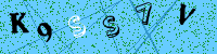Imagem do Captcha